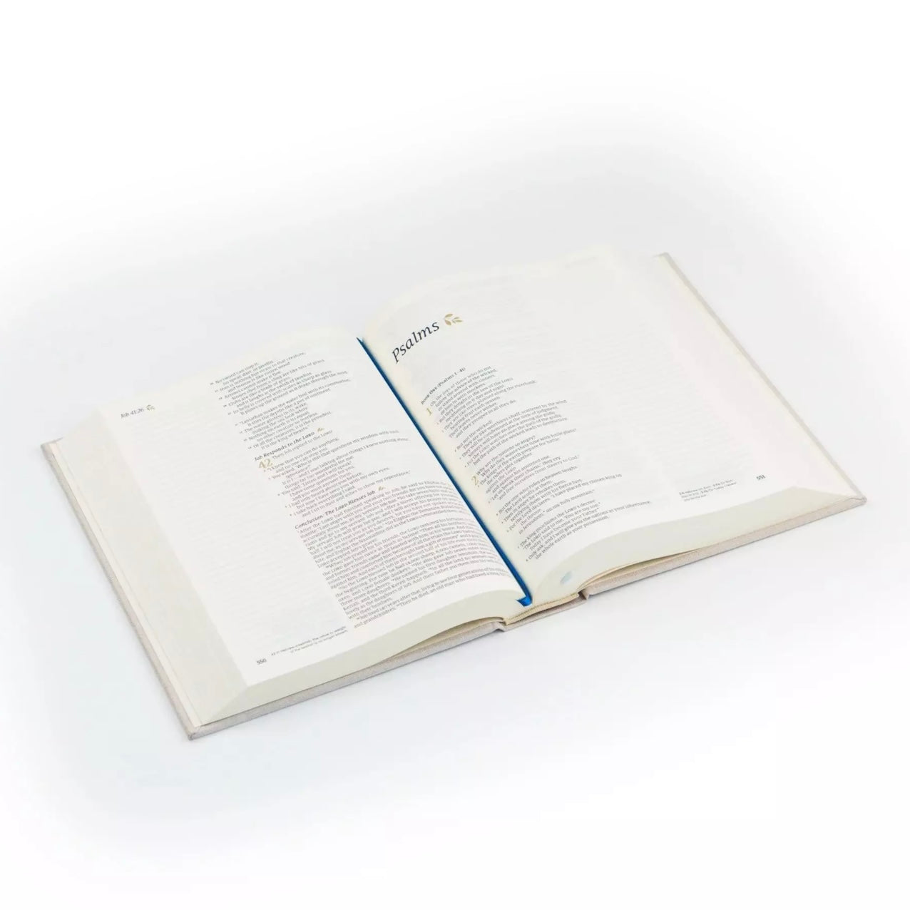 NLT Notetaking Bible - Adelaide image 4