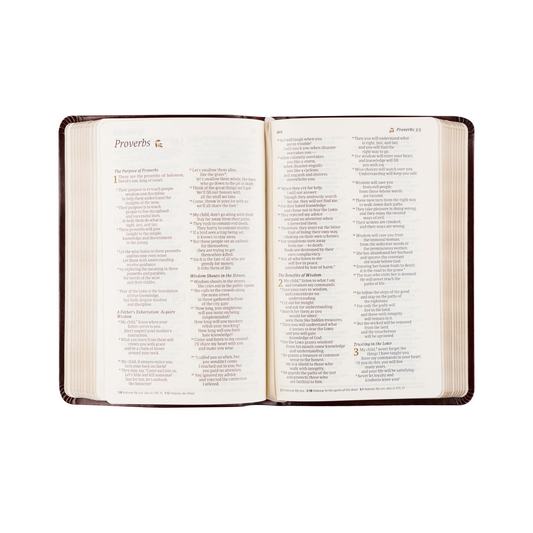 NLT Compact Bible - Yorkshire