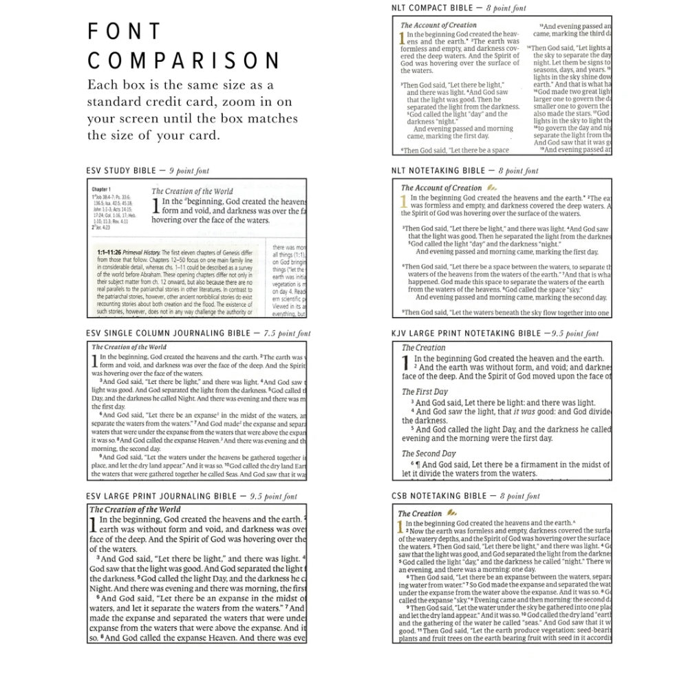 CSB Notetaking Bible - Galilee image 6