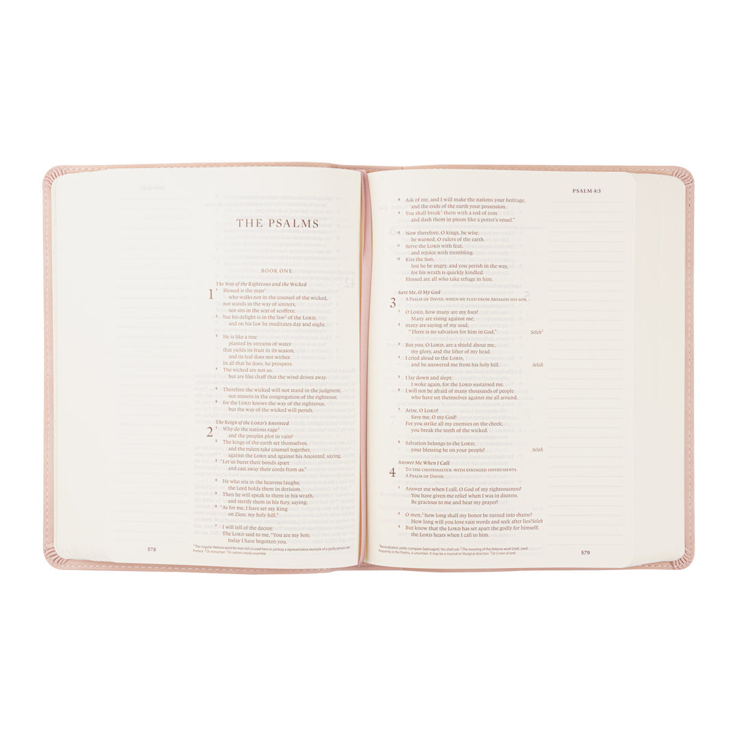 ESV Journaling Bible - Shiloh