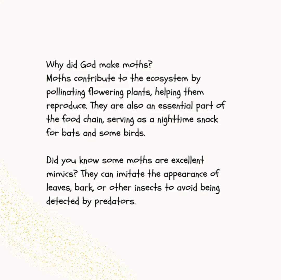 Why Did God Make Worms? - Olivia Calloway
