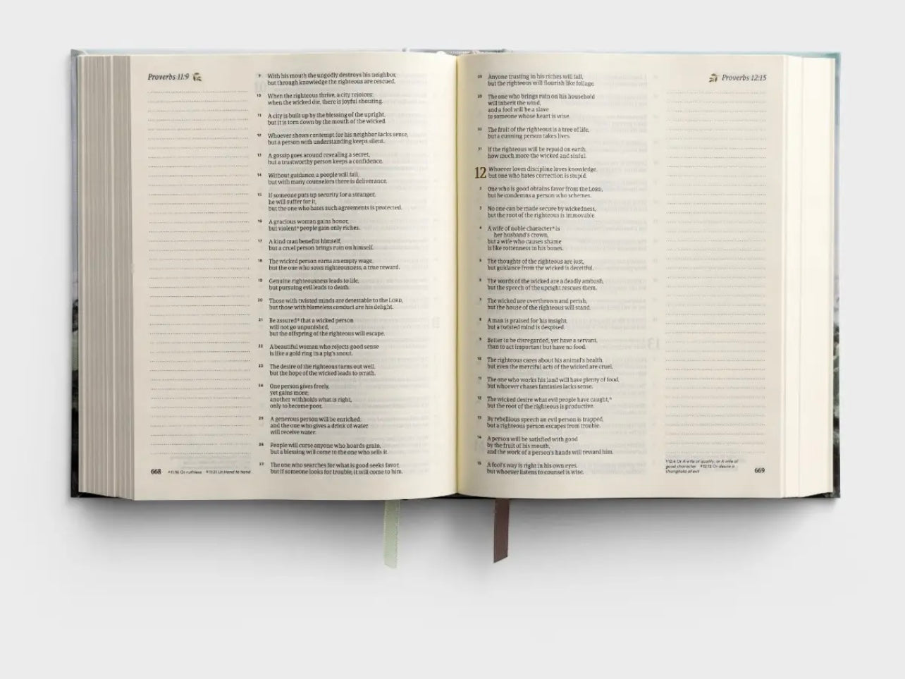 CSB Notetaking Bible - Dublin image 3