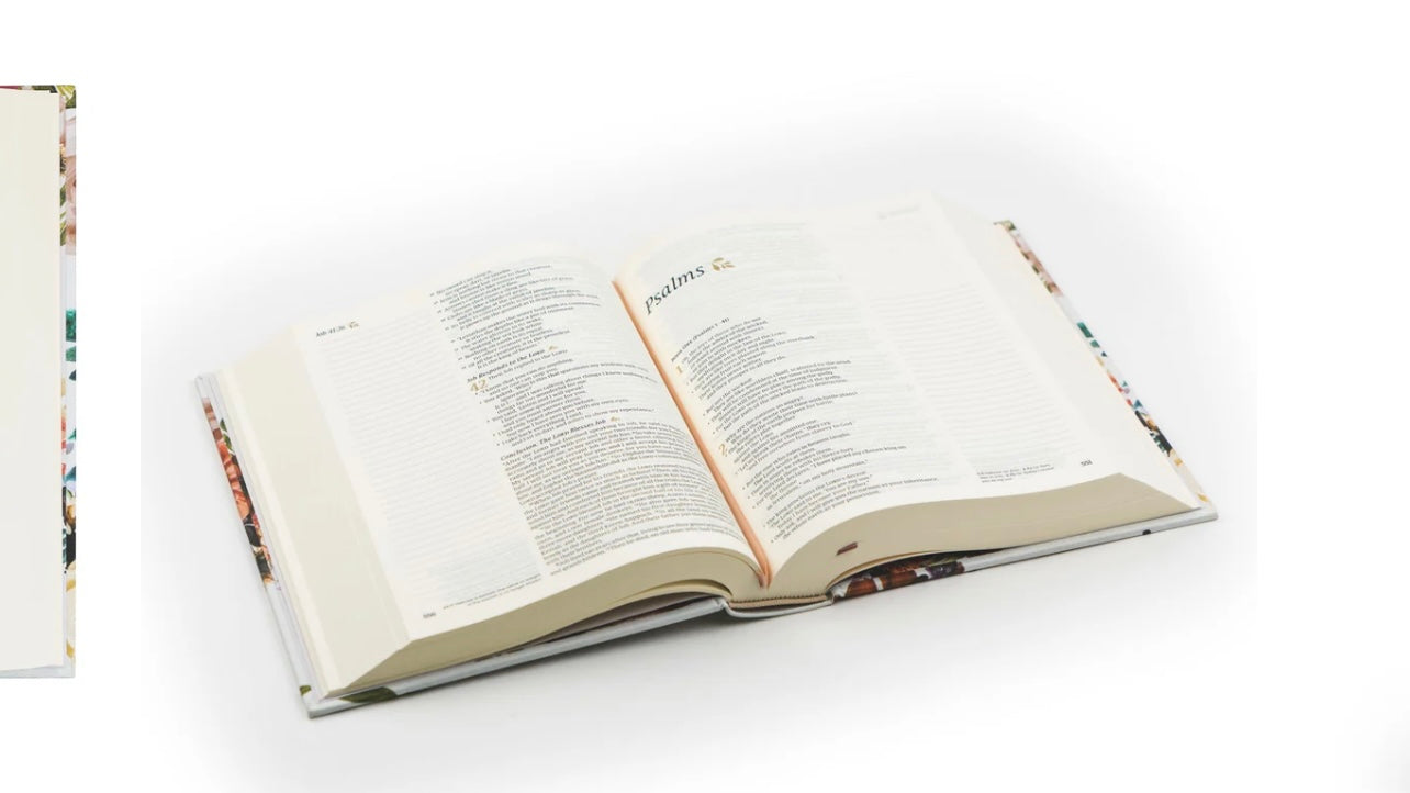 NLT Notetaking Bible - Madrid image 4