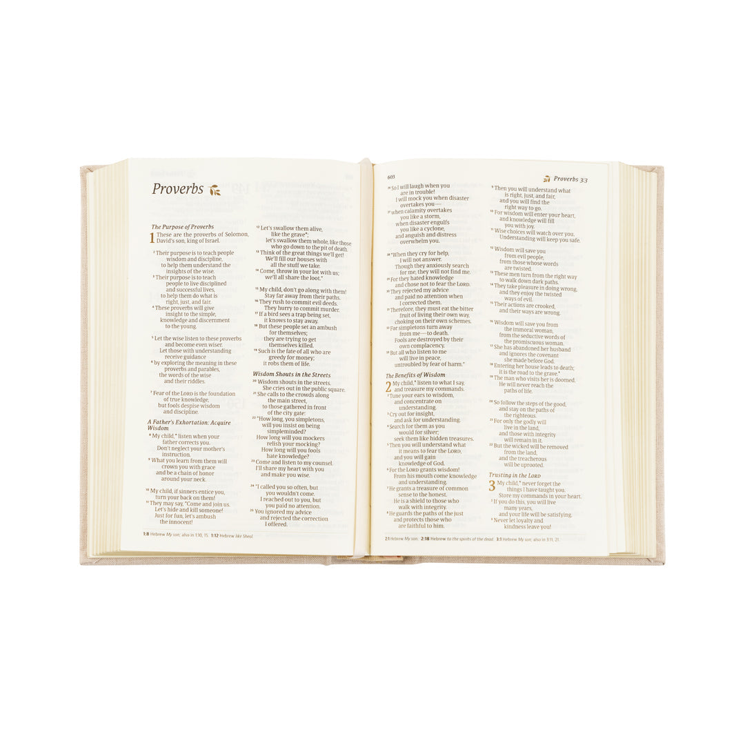 NLT Compact Bible - Casablanca
