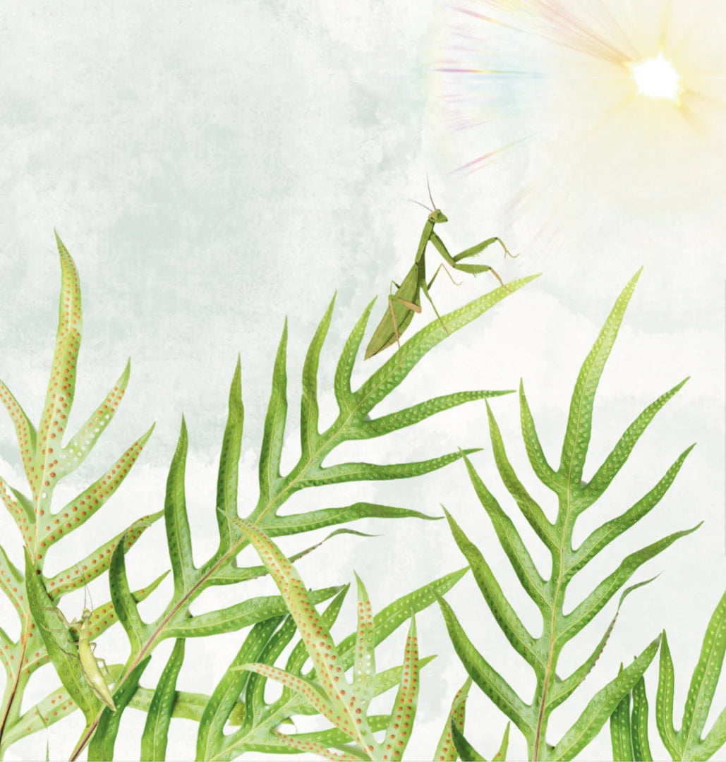 Why Did God Make Worms? - Olivia Calloway