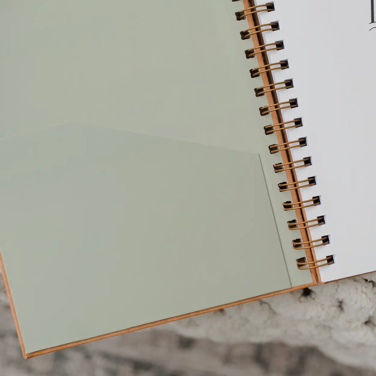 In the Word - Study Journal