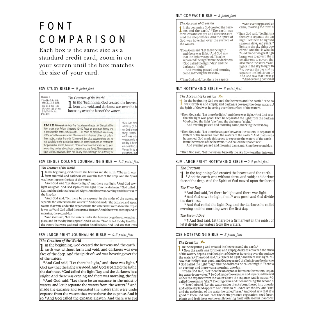 KJV Large Print Notetaking Bible: Vienna