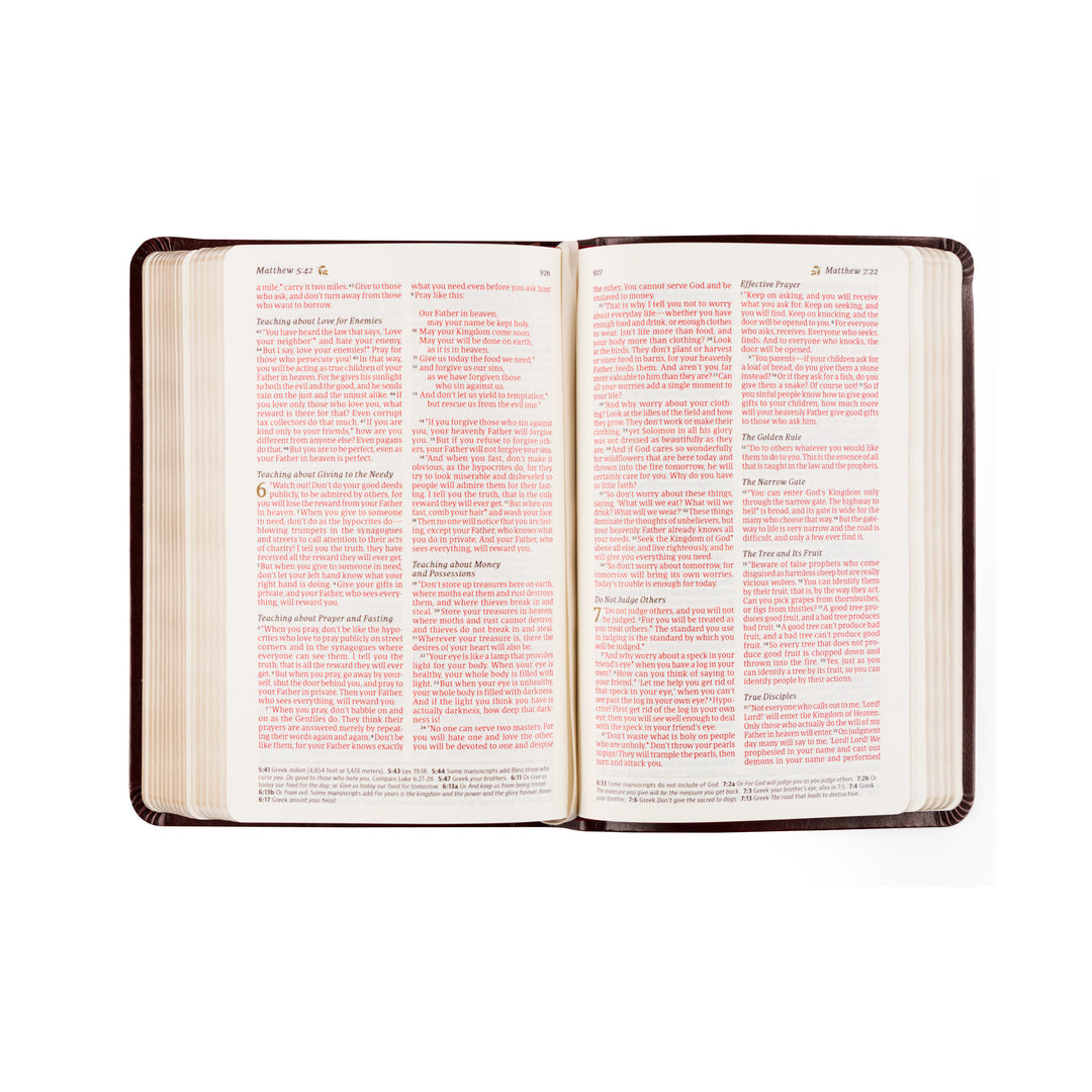 NLT Compact Bible - Yorkshire