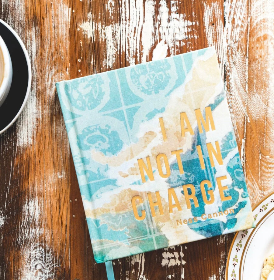 I Am Not in Charge by Ness Cannon - Bible Study image 7