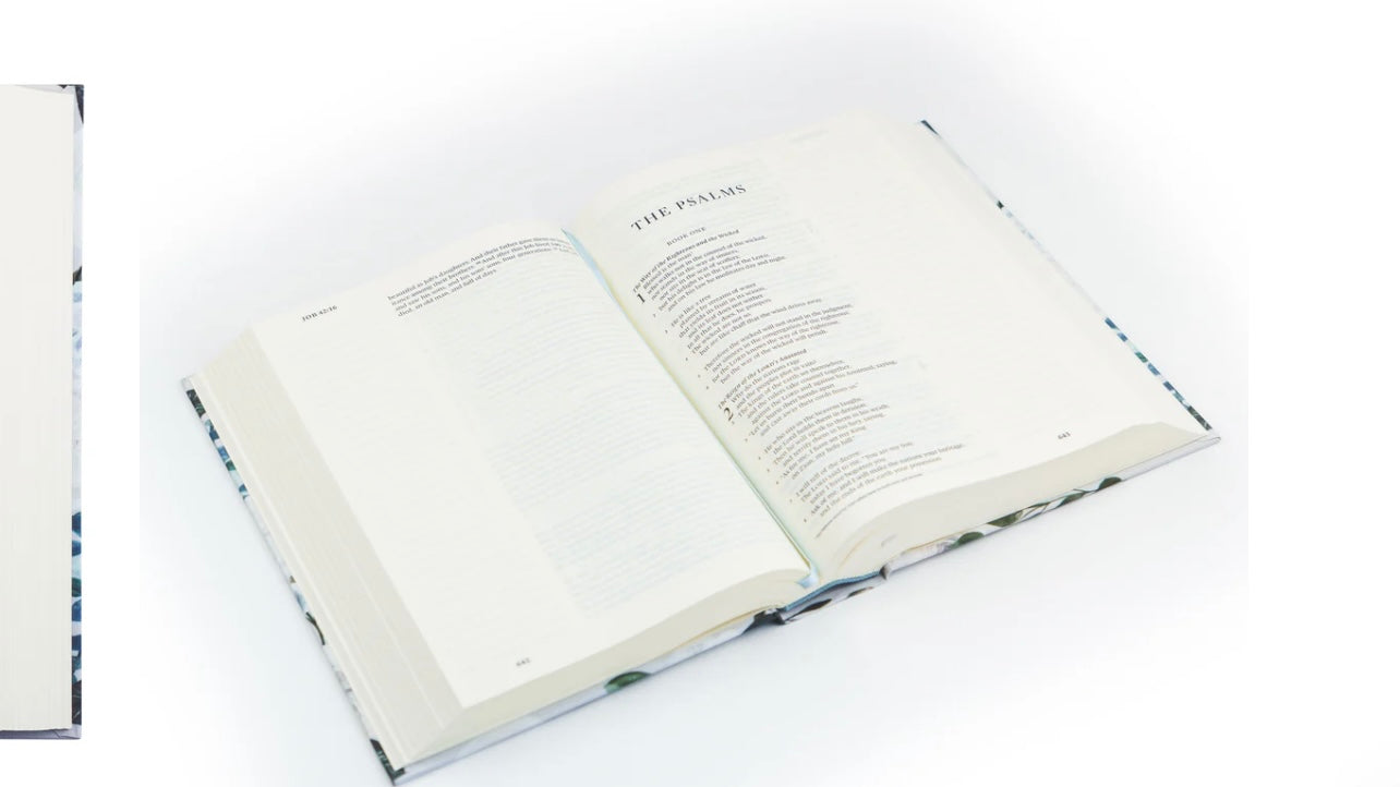 ESV Large Print Journaling Bible - Victoria image 4