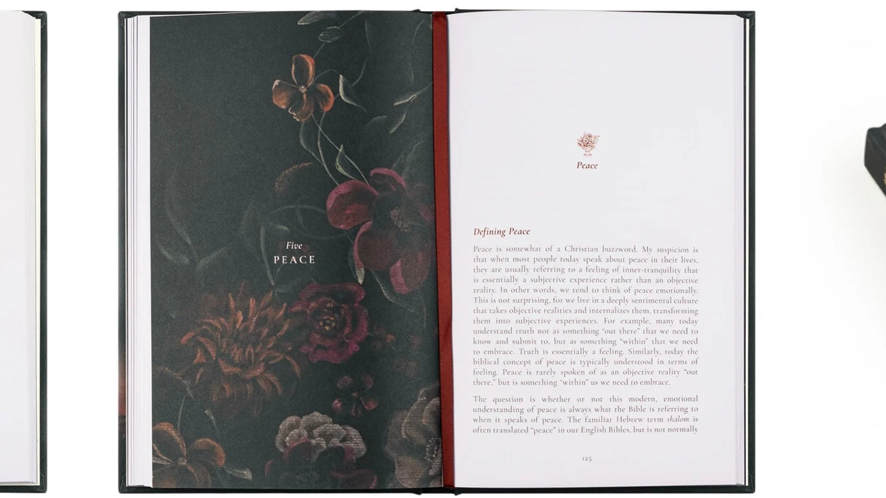 In Weeping & Rejoicing by Paige Stitt McBride - Bible Study image 8