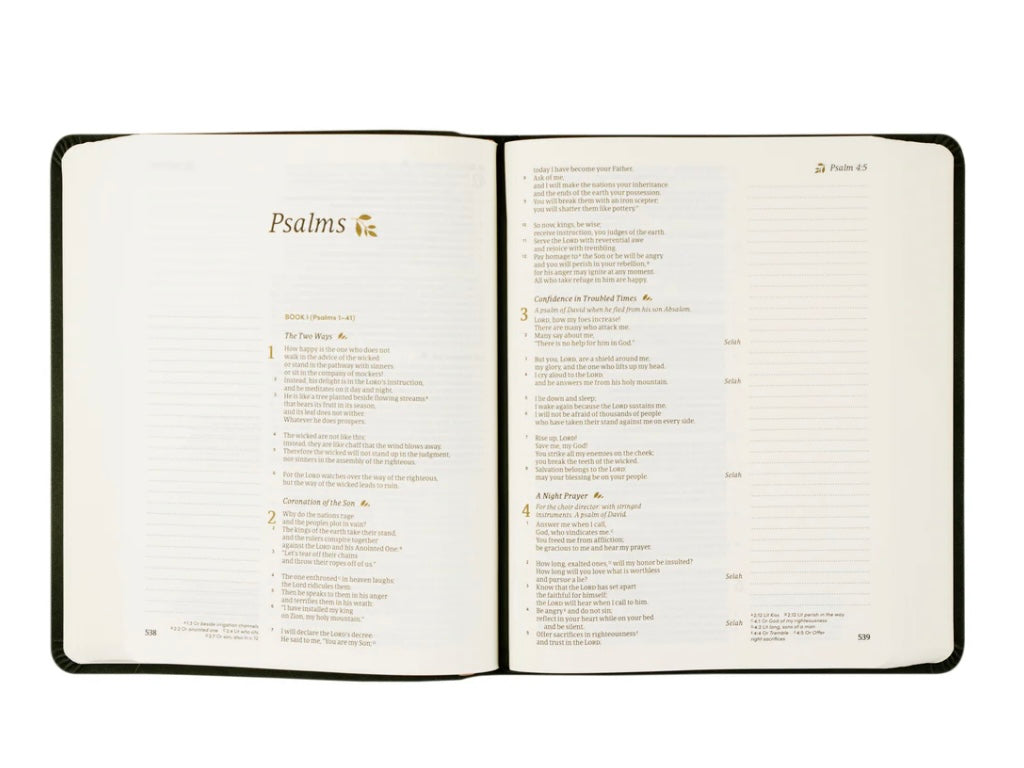 CSB Notetaking Bible - Jerusalem image 5