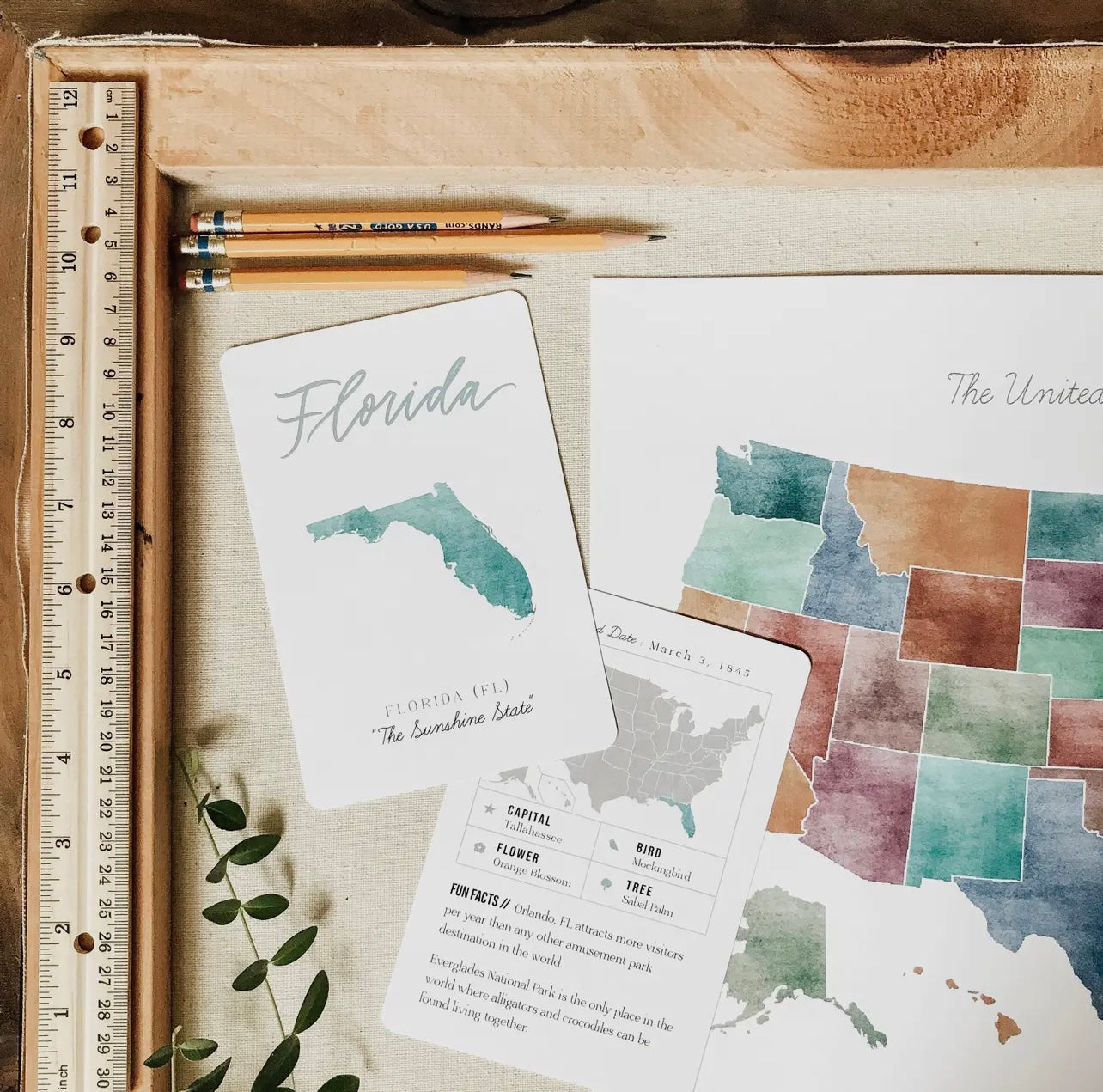 USA Watercolor State Cards image 6