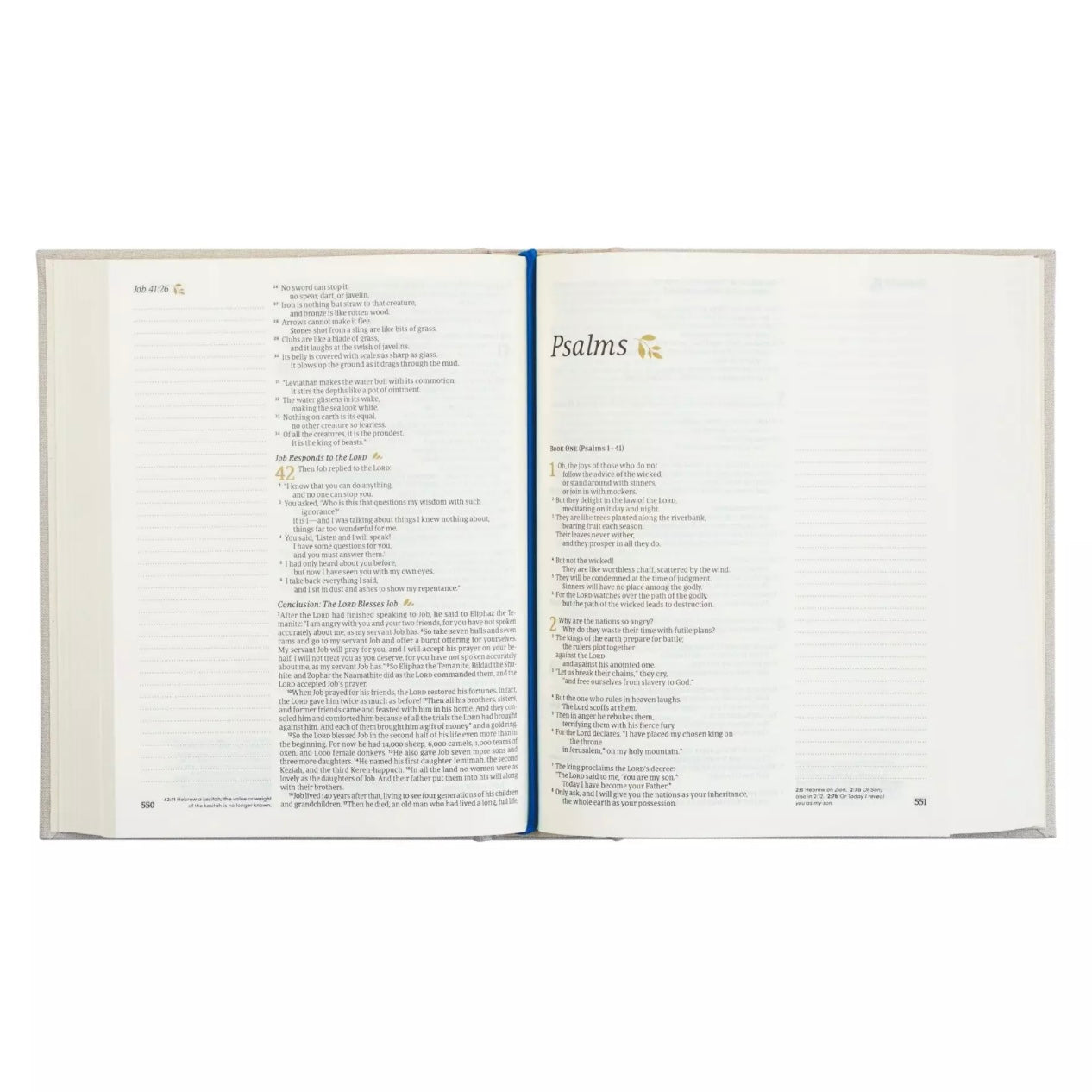 NLT Notetaking Bible - Adelaide image 3