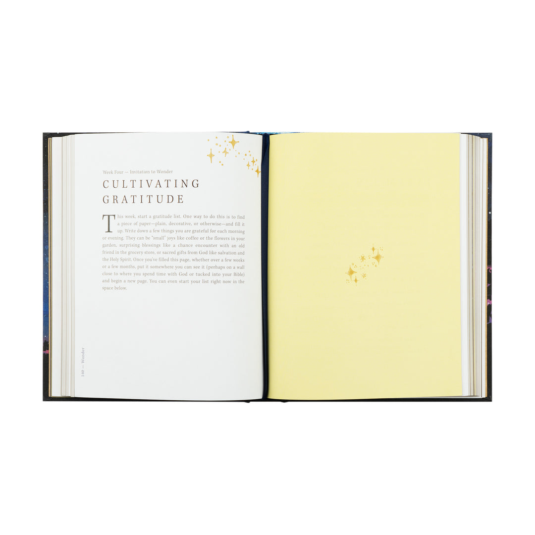 Wonder by Alicia Hamilton - Bible Study