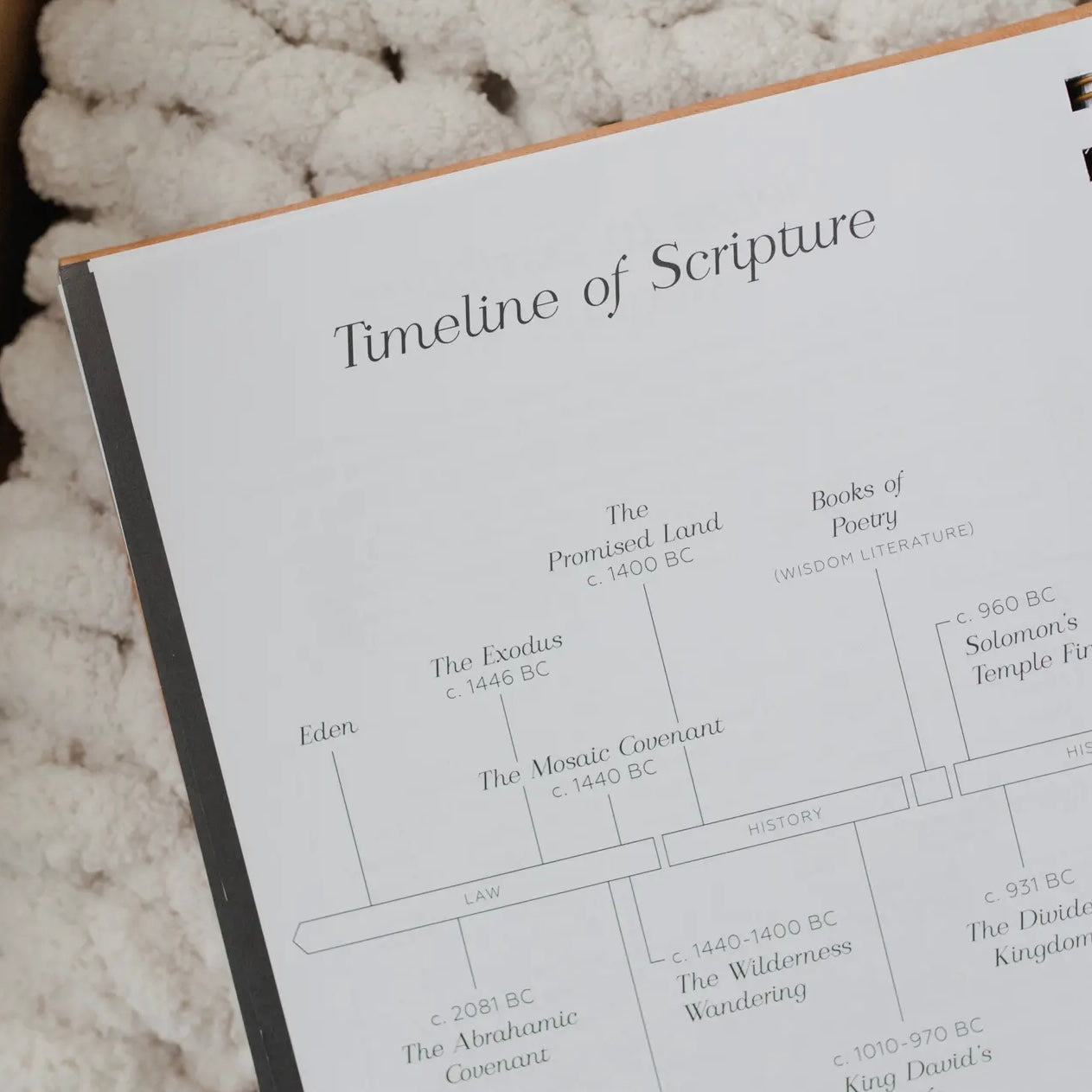 In the Word - Study Journal