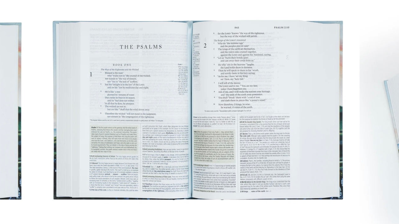 ESV Study Bible - Iceland image 4