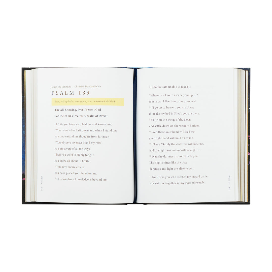 Wonder by Alicia Hamilton - Bible Study