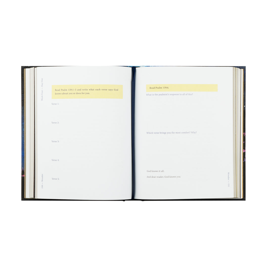 Wonder by Alicia Hamilton - Bible Study