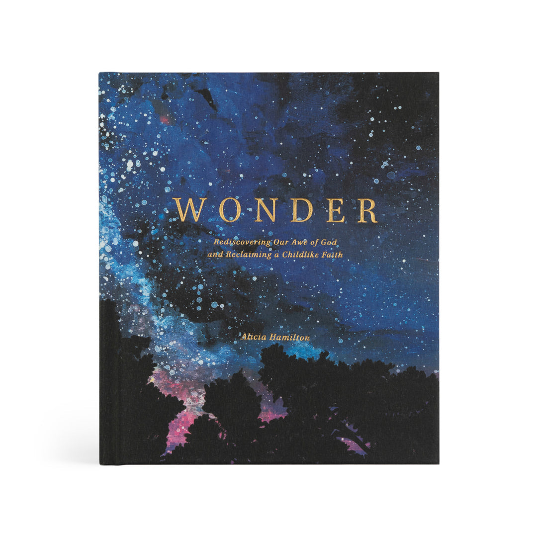 Wonder by Alicia Hamilton - Bible Study