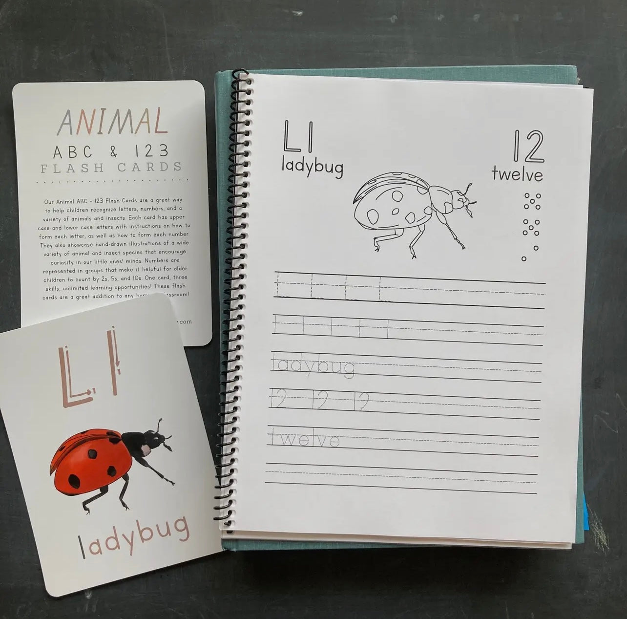 Animal ABC + 123 Workbook image 0