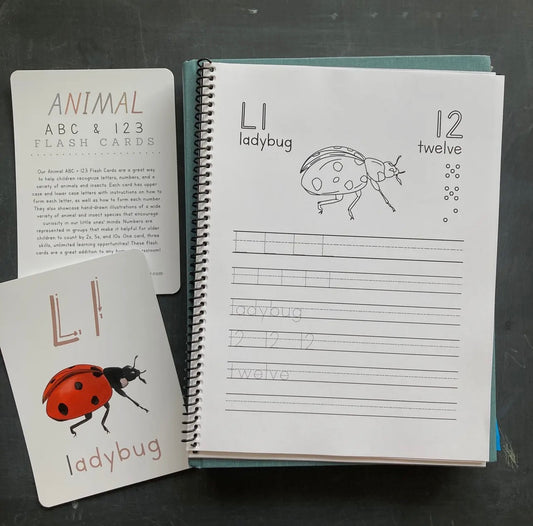 Animal ABC + 123 Workbook image 0