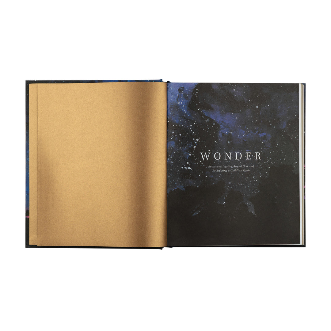 Wonder by Alicia Hamilton - Bible Study