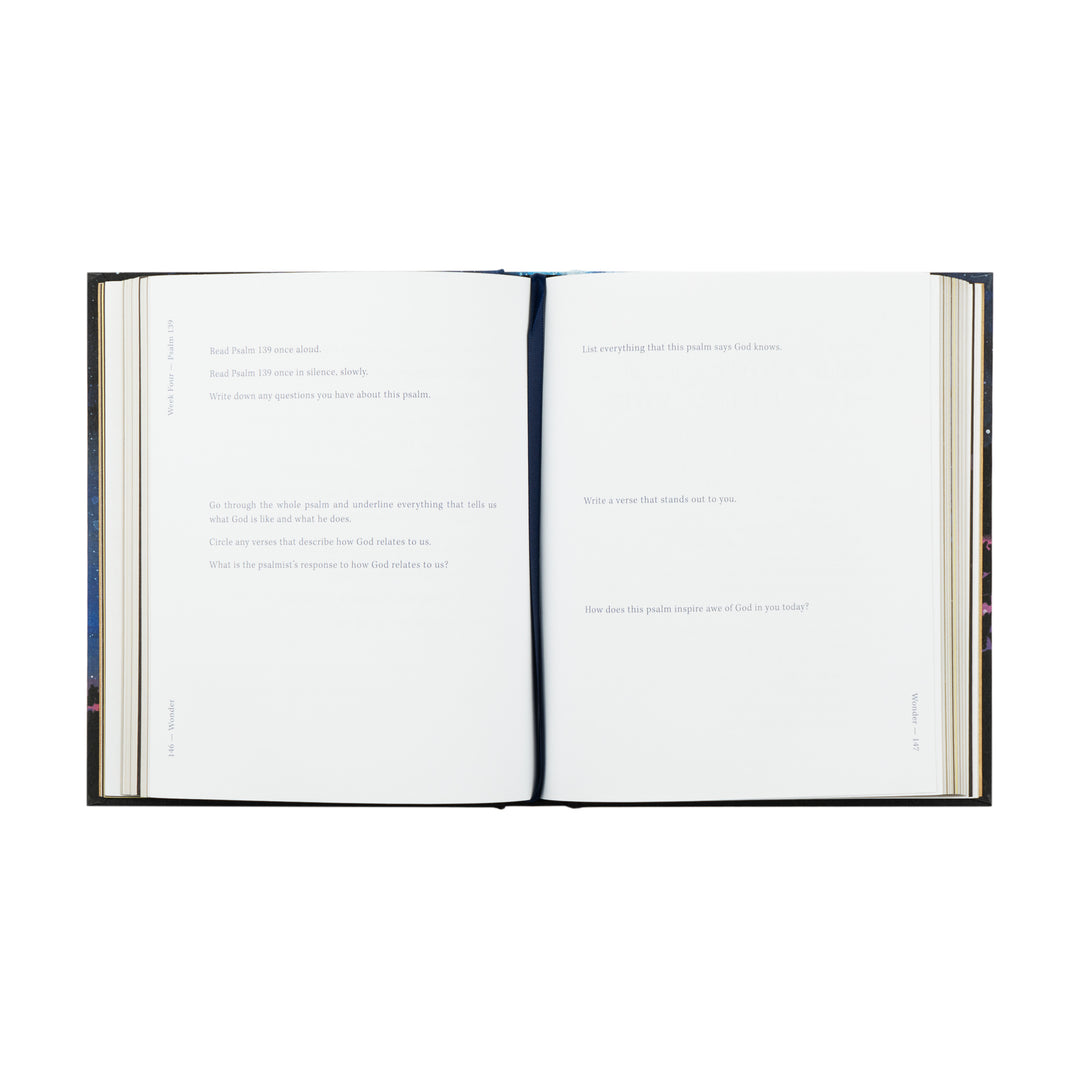 Wonder by Alicia Hamilton - Bible Study