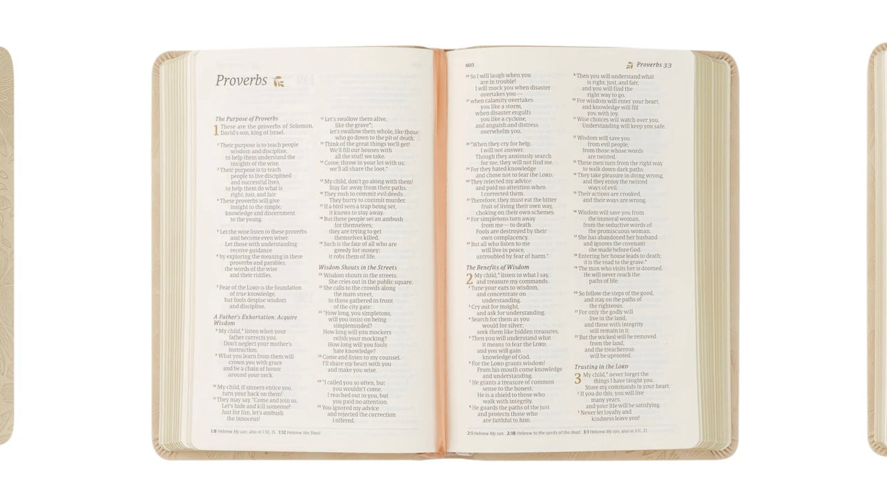 NLT Compact Bible - Sonora image 3