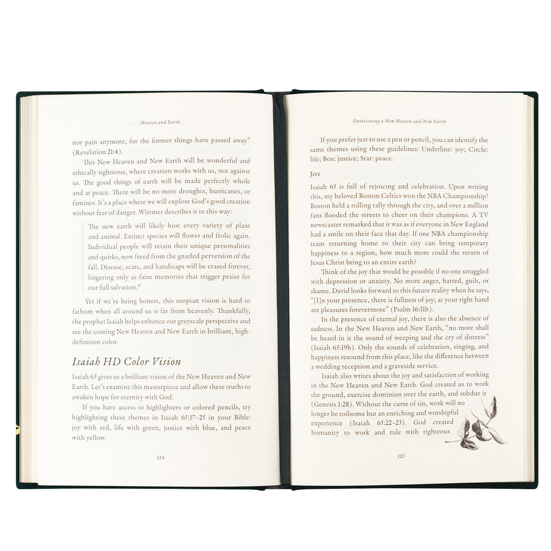 Heaven & Earth by Jordan Moody - Bible Study