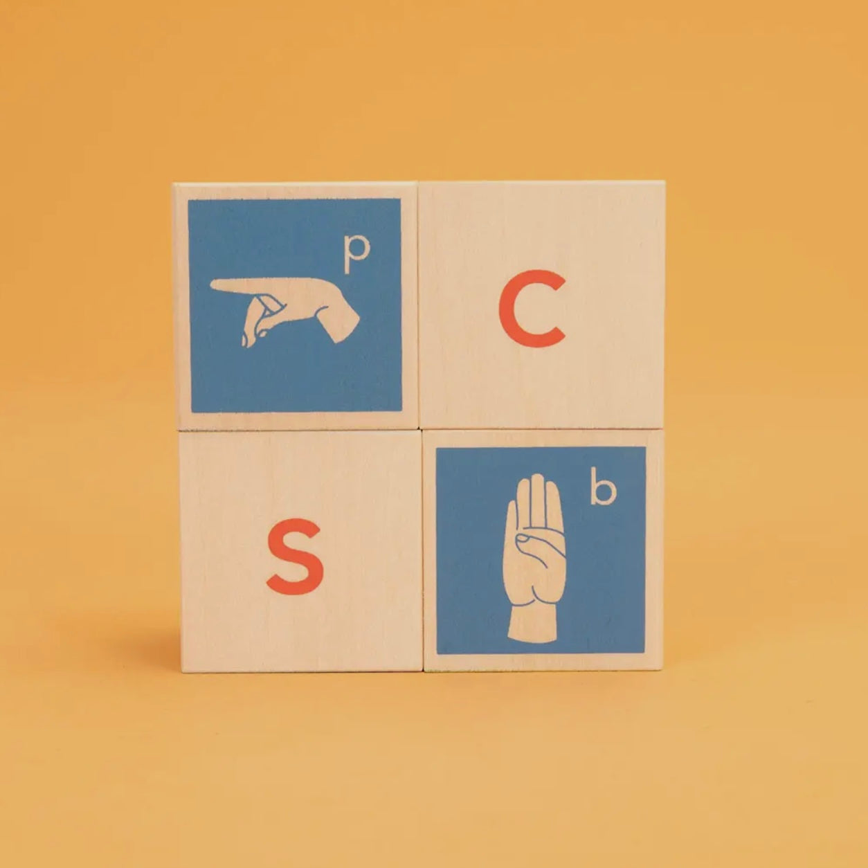 ASL Letter Wooden Blocks