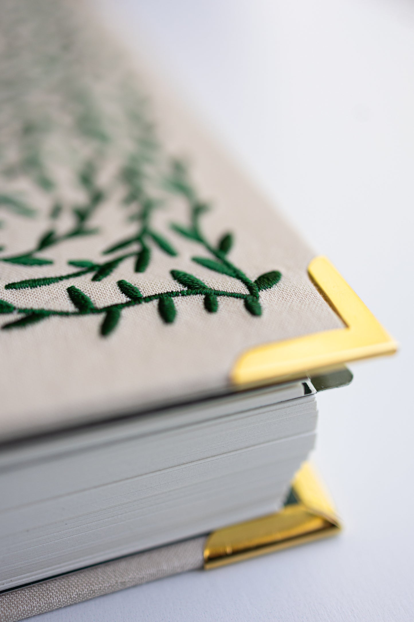 Quiet Time Companion - Abide in the Vine