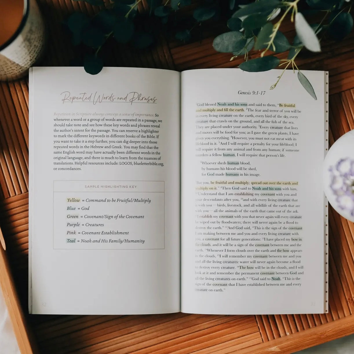 Bible Highlighting Guide