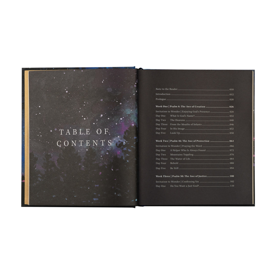 Wonder by Alicia Hamilton - Bible Study