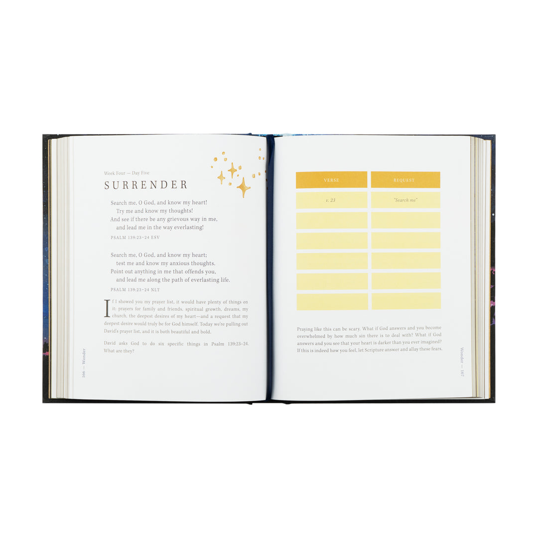 Wonder by Alicia Hamilton - Bible Study