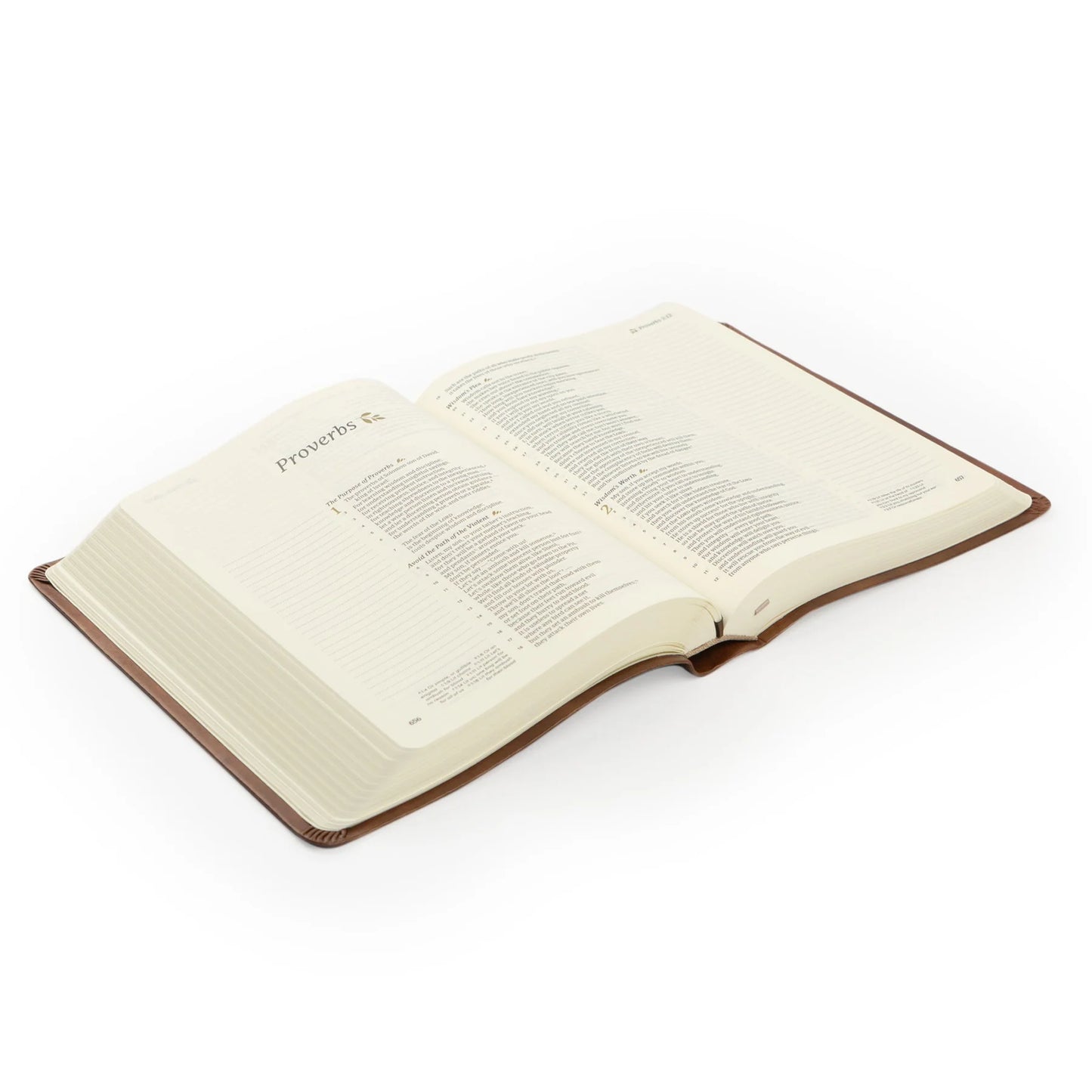 CSB Notetaking Bible - Edinburgh