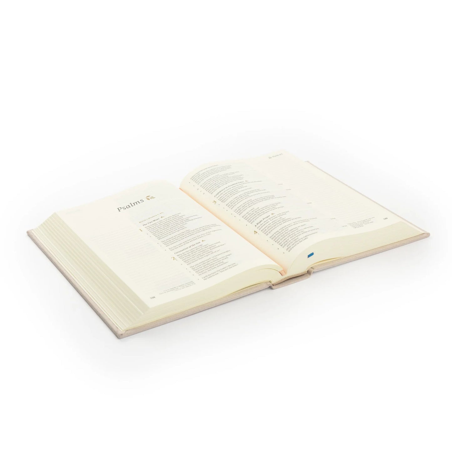 CSB Notetaking Bible - Oxford