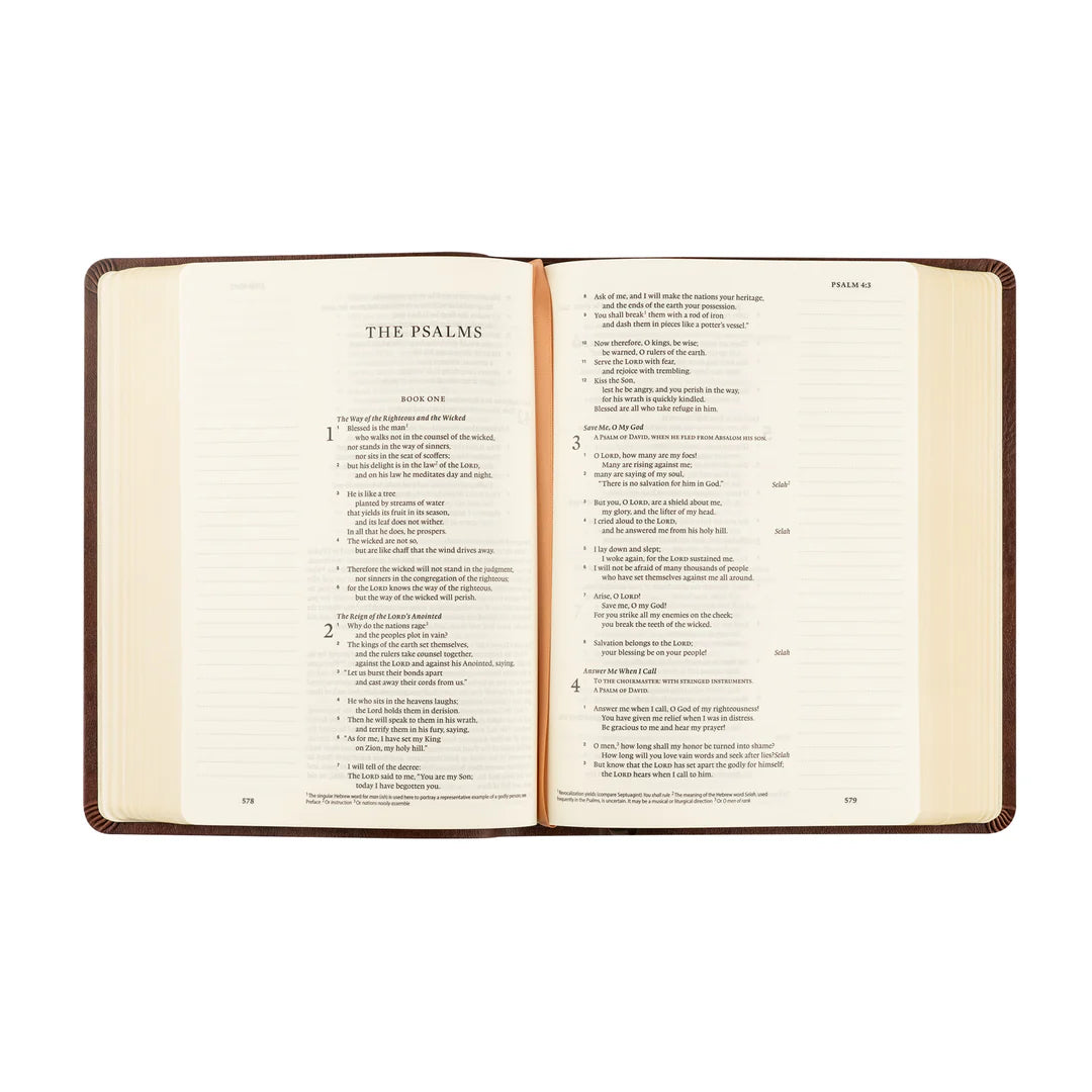 ESV Journaling Bible - Palma