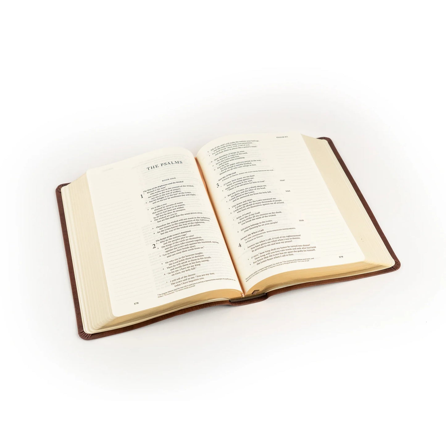 ESV Journaling Bible - Palma