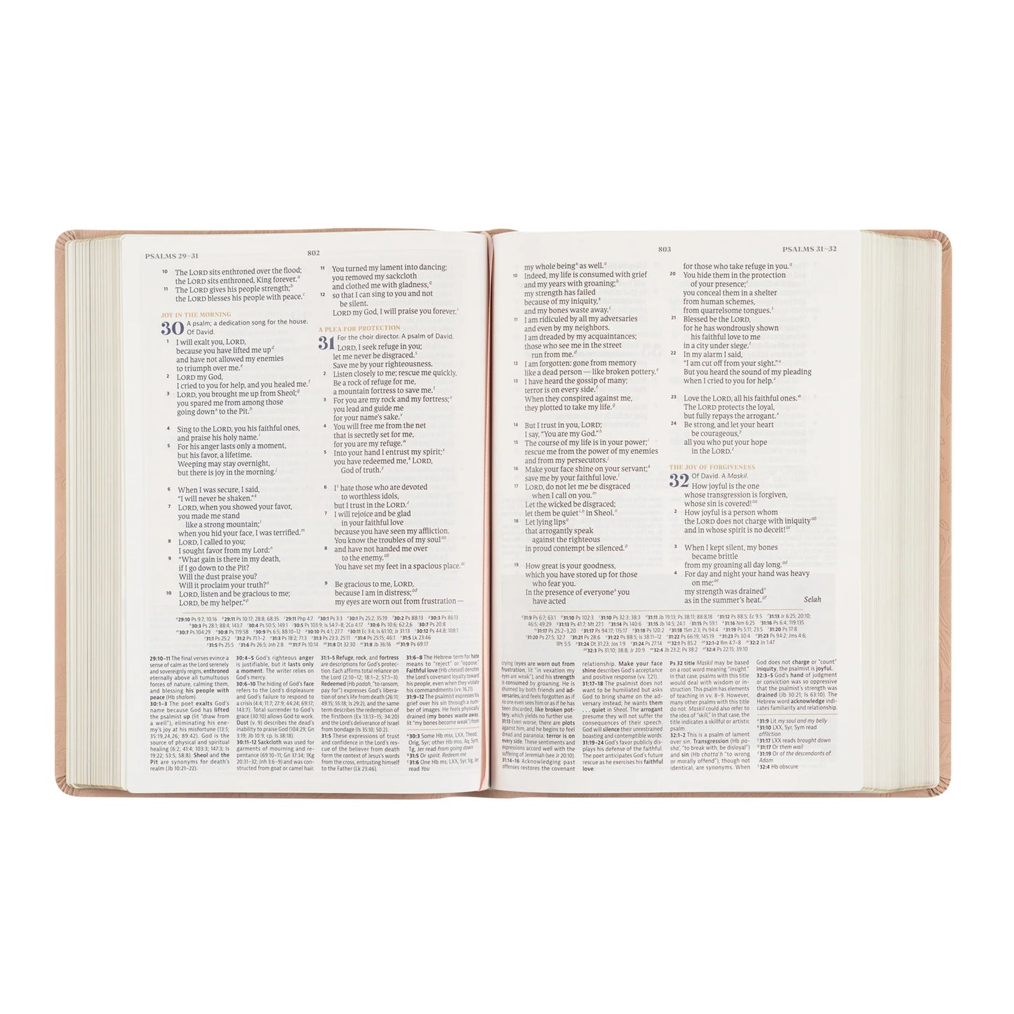 CSB Study Bible - Sonora