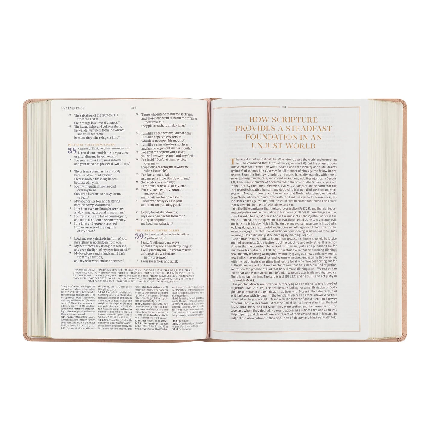 CSB Study Bible - Sonora