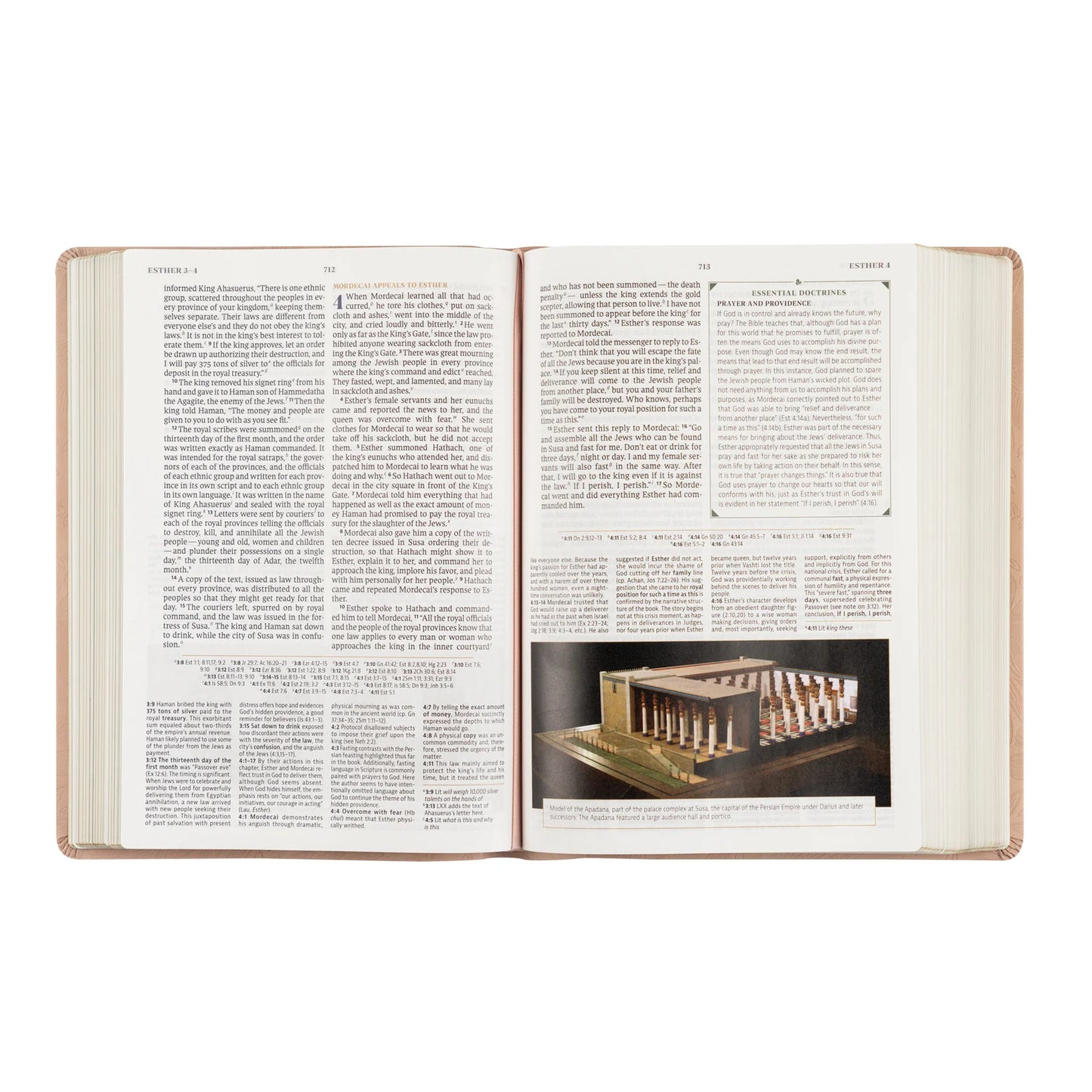 CSB Study Bible - Sonora