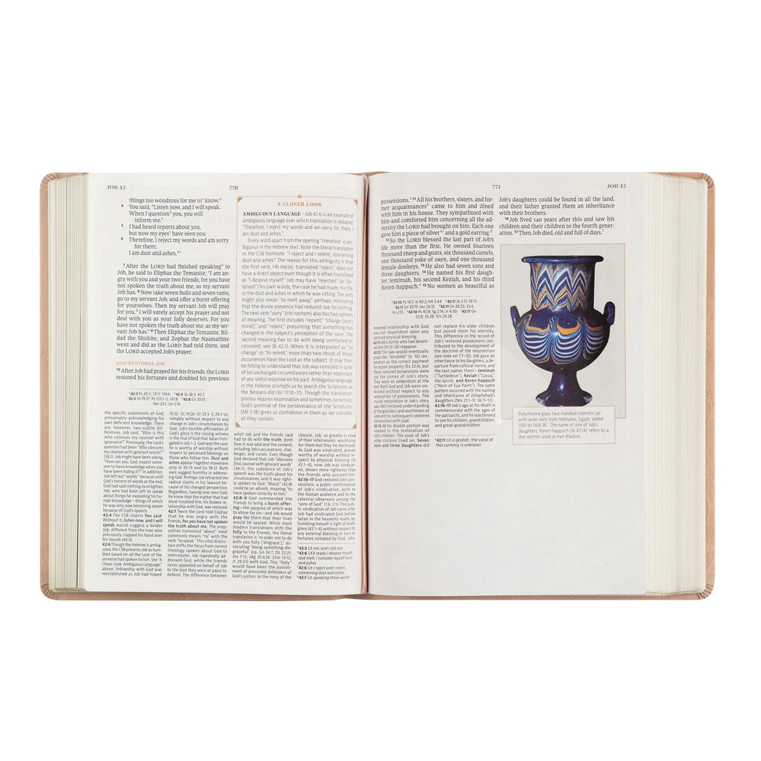 CSB Study Bible - Sonora