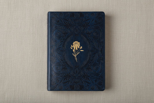 CSB Study Bible - Versailles