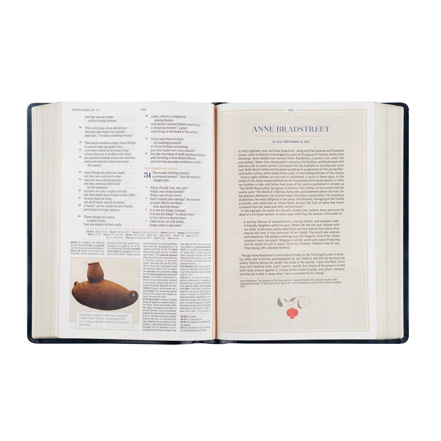 CSB Study Bible - Versailles