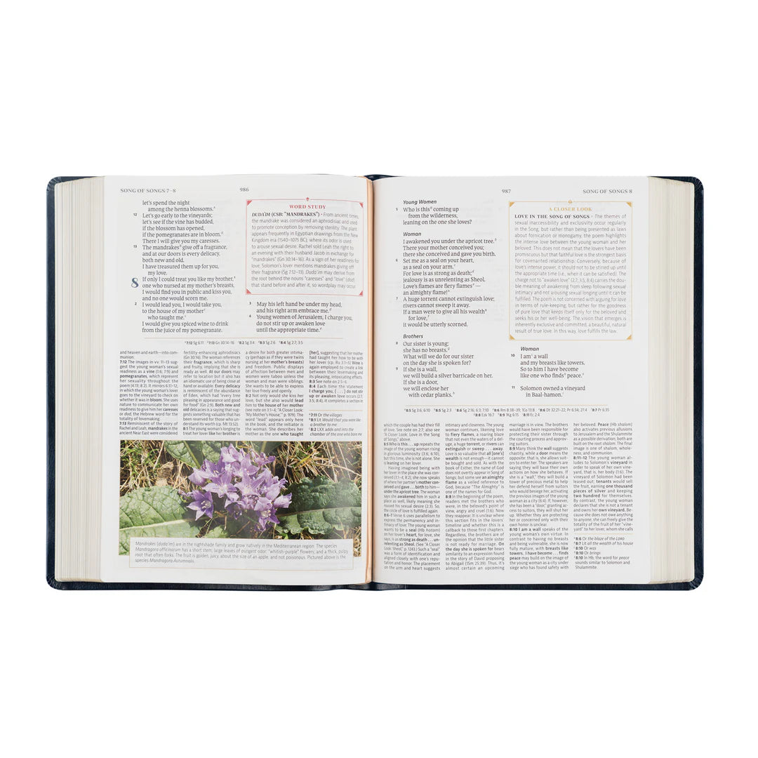 CSB Study Bible - Versailles