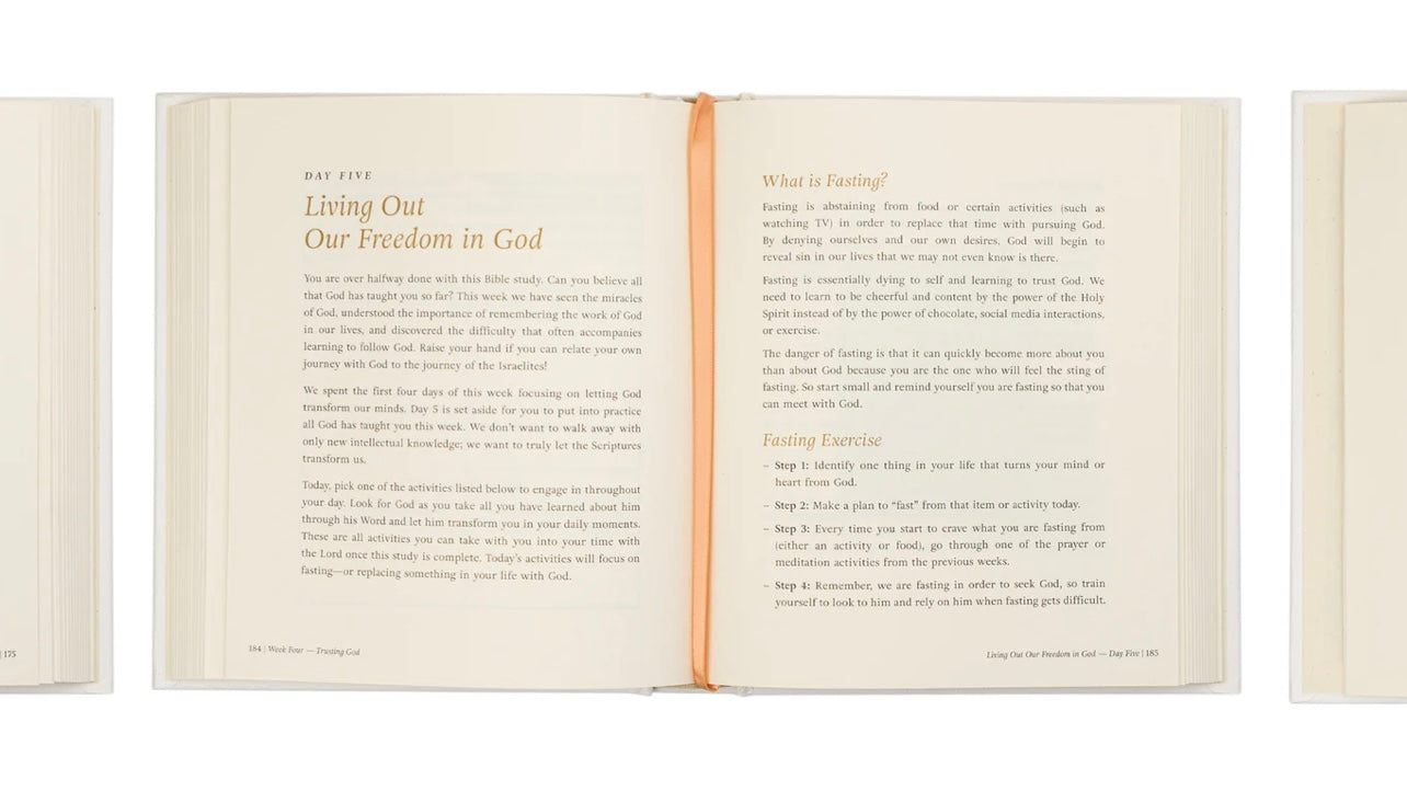 Beyond Egypt by Kari Minter - Bible Study image 7