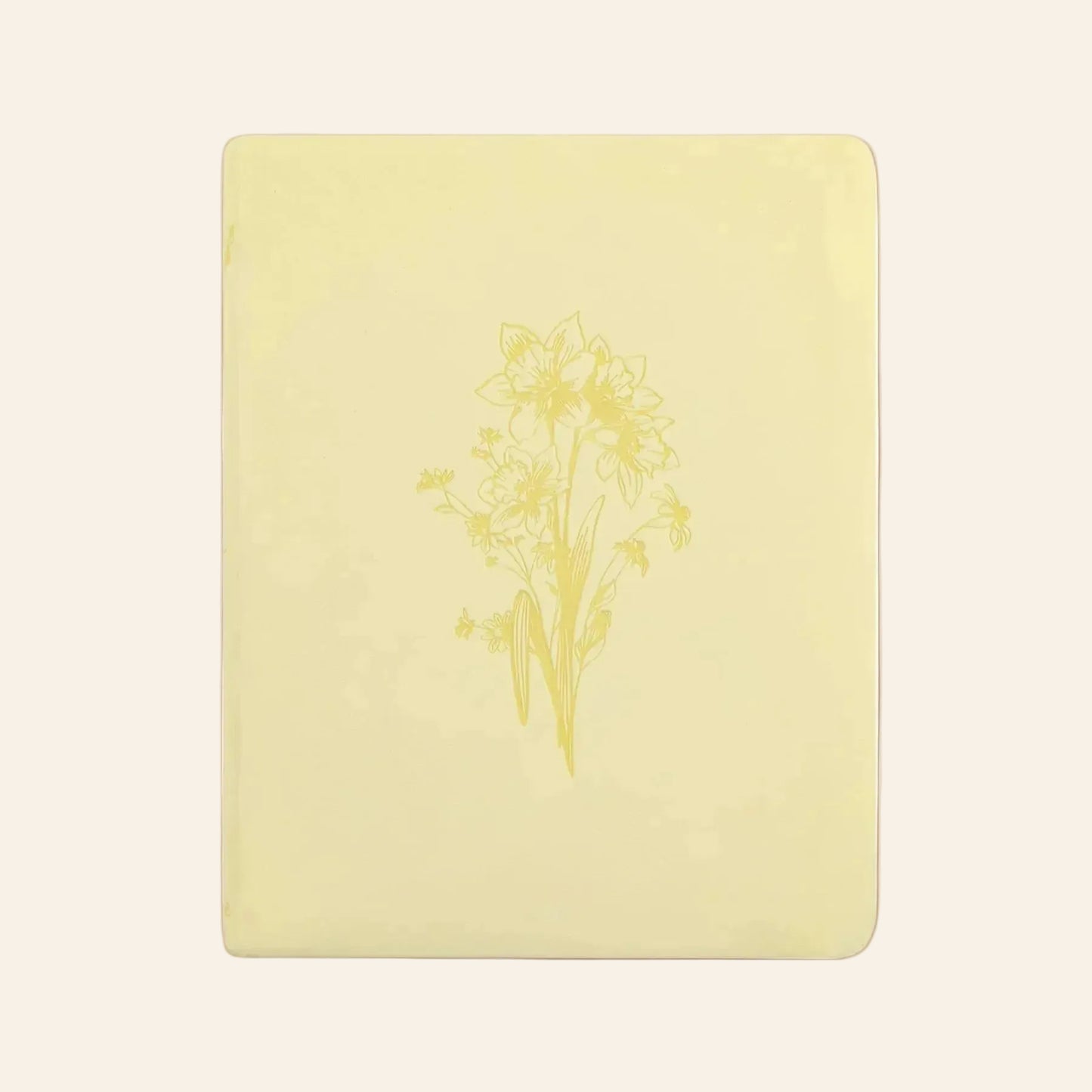 NLT Notetaking Bible - Belfast