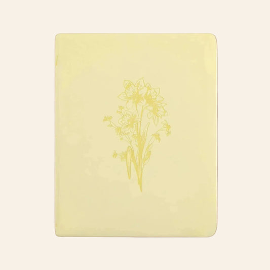 NLT Notetaking Bible - Belfast