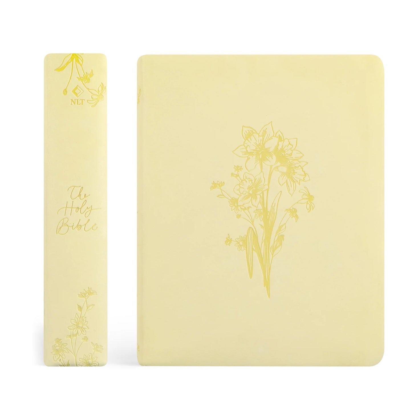 NLT Notetaking Bible - Belfast